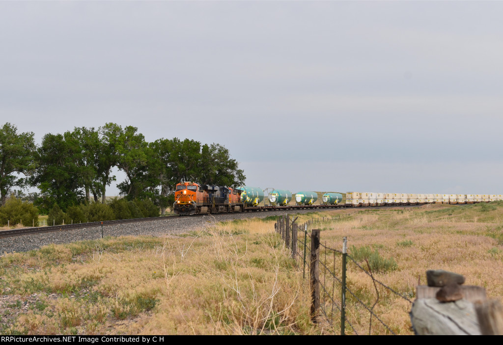 BNSF 8009/NS 8103/BNSF 5685